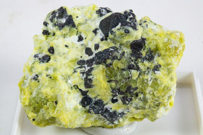 Hematite Crystals with Lizardite and Hydrotalcite - Norway #345748